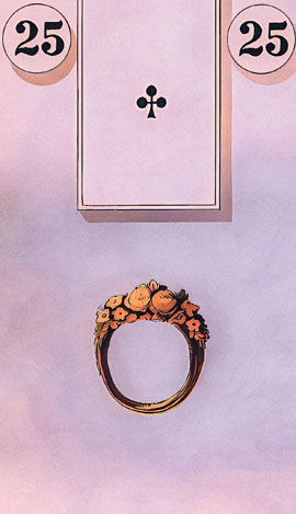  Illuminate Your Path With Lenormand Cards 36 Meanings